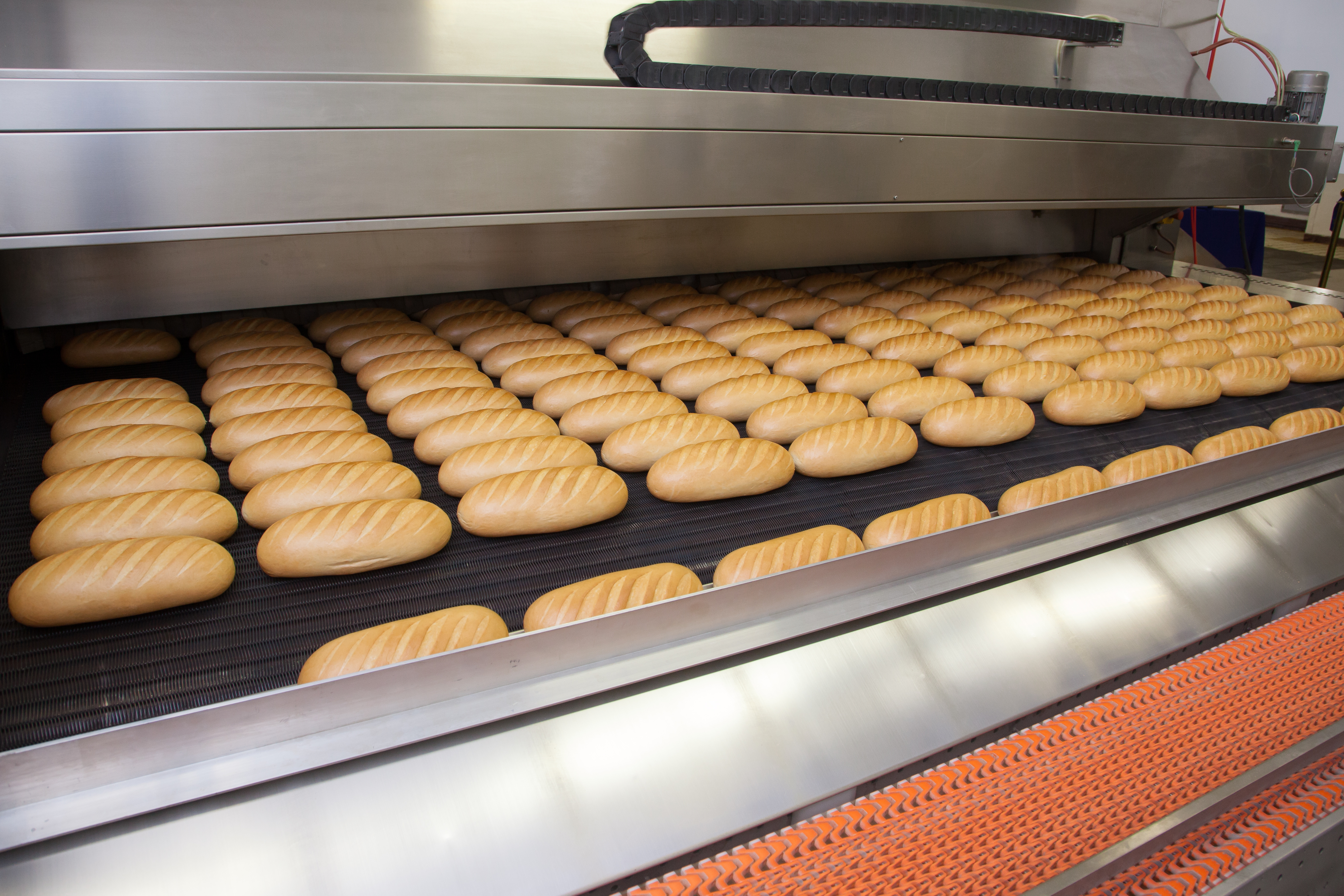 bakery coding and marking